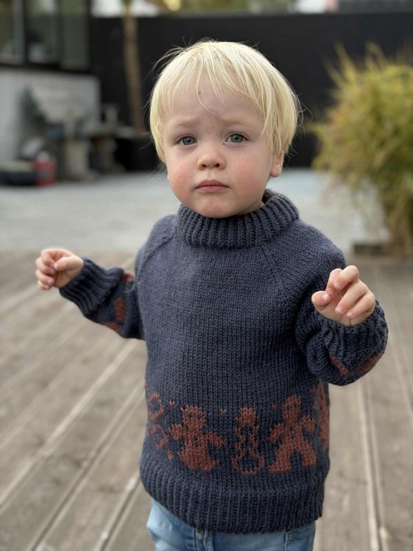 Pebberkage-genser (strikkepakke)