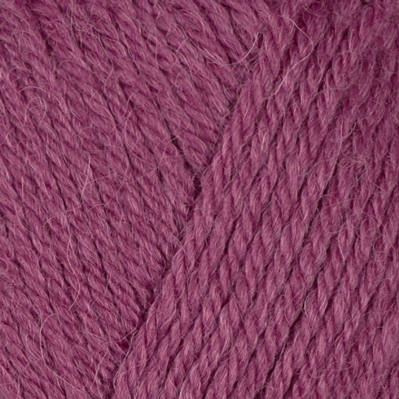 Viking Alpaca Storm